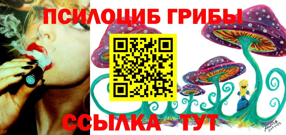 Псилоцибиновые грибы Psilocybe  Галлюциногенные грибы ЛСД  Вход с VPN  Кунгур 