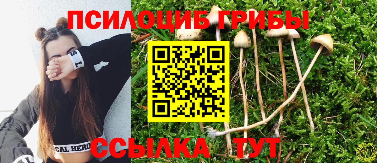 Галлюциногенные грибы GOLDEN TEACHER Кунгур